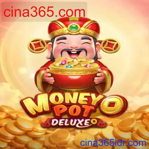 MoneyPotDELUXE